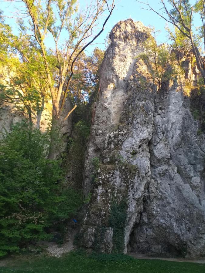 Galeria Villa Veszprém Εξωτερικό φωτογραφία